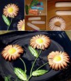 /album/fotogalerie-jidlo-a-piti/beautiful-flower-of-the-sausage-schone-blume-des-wurst-belle-fleur-du-quelques-krasna-kytka-z-parku-jpg/